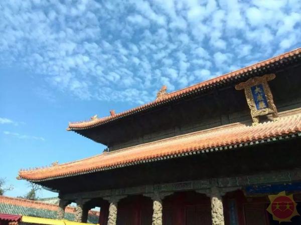 山东的魅力,无限展现!