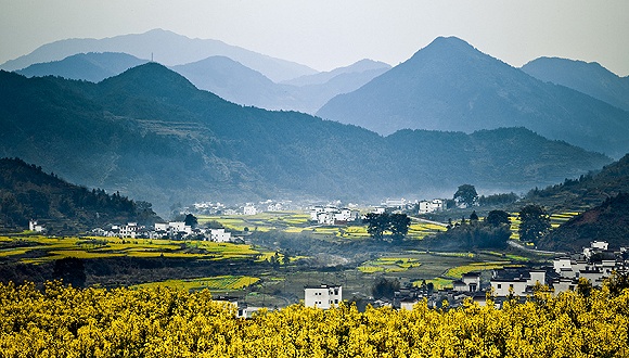 江西盛会，领导同舟共济，同胞共筑辉煌
