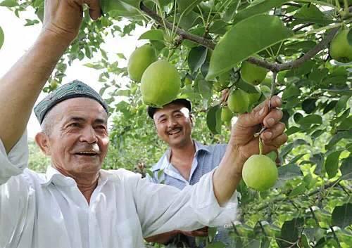 新疆，地理、历史、文化与现状概览